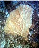 foto04a.jpg
