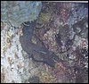 foto05.jpg