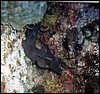 foto05a.jpg
