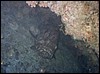 foto18.jpg