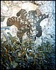foto20a.jpg