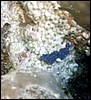 foto21a.jpg