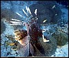 foto26a.jpg