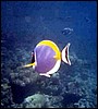 foto30a.jpg