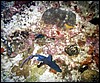 foto42a.jpg
