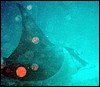 manta1a.jpg