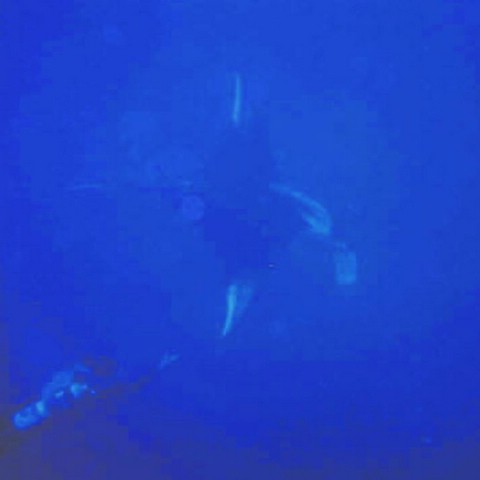 foto13.jpg