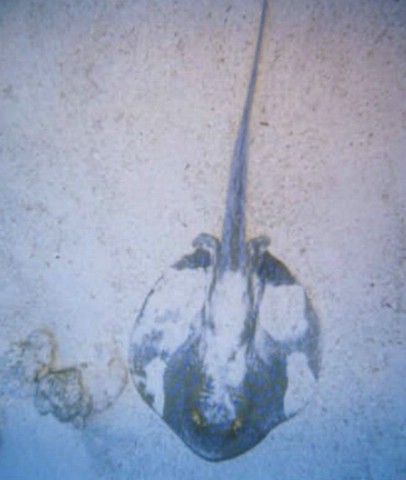 foto15.jpg