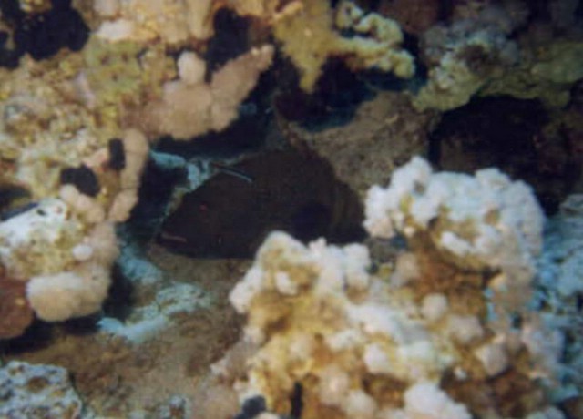 foto16.jpg
