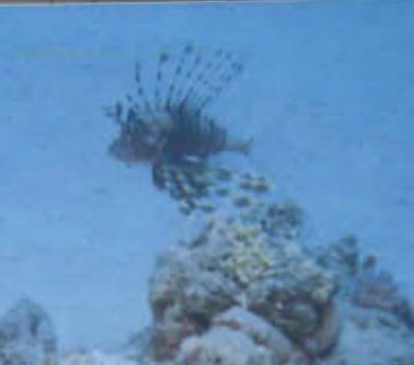 foto17.jpg
