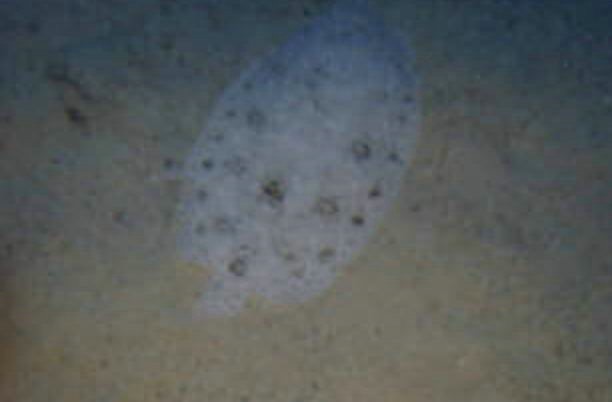 foto19.jpg