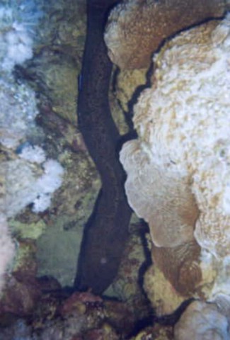 foto21.jpg
