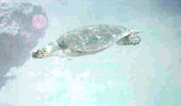 foto22.jpg