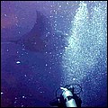 foto12.jpg