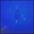 foto13.jpg
