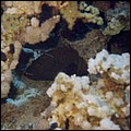 foto16.jpg