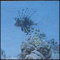 foto17.jpg