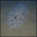 foto19.jpg
