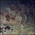 foto20.jpg