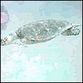 foto22.jpg