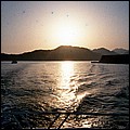 tramonto 2.jpg