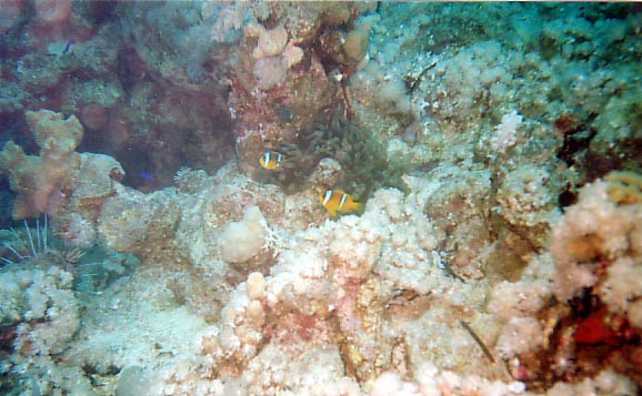 foto01.jpg