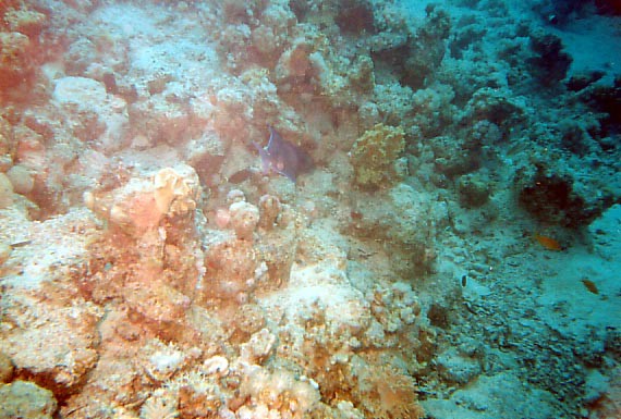 foto02.jpg