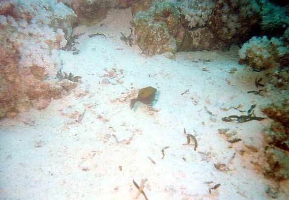 foto04.jpg