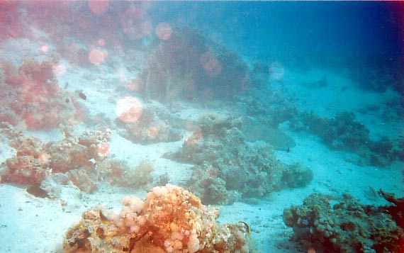 foto08.jpg
