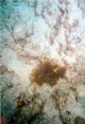 foto15.jpg