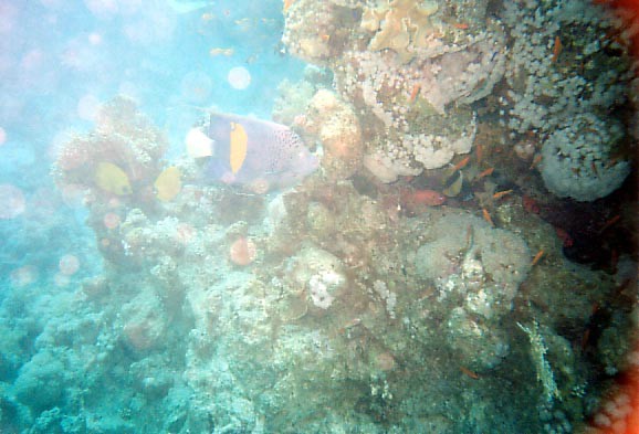 foto16.jpg