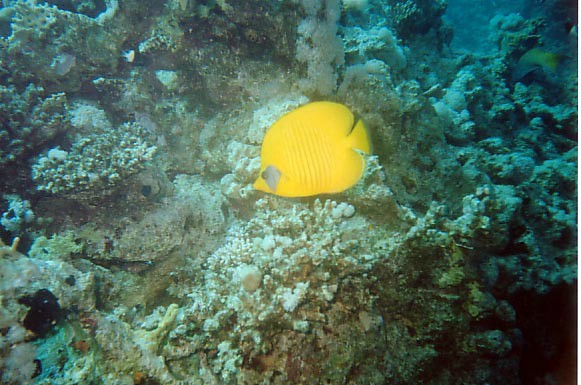 foto19.jpg