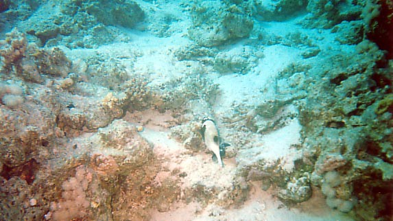 foto20.jpg