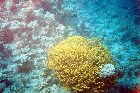 foto21.jpg