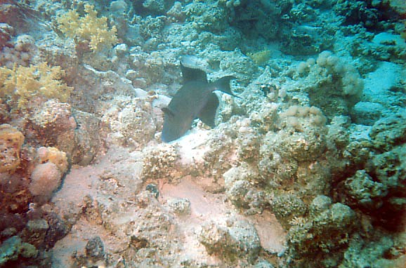 foto22.jpg