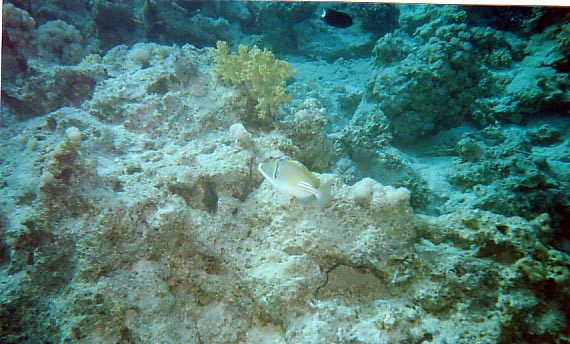foto23.jpg