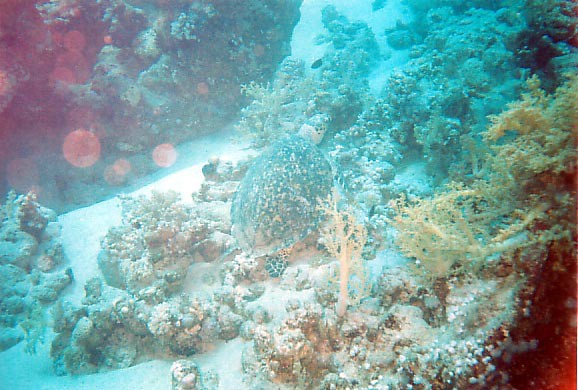 foto31.jpg