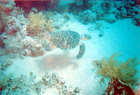 foto33.jpg