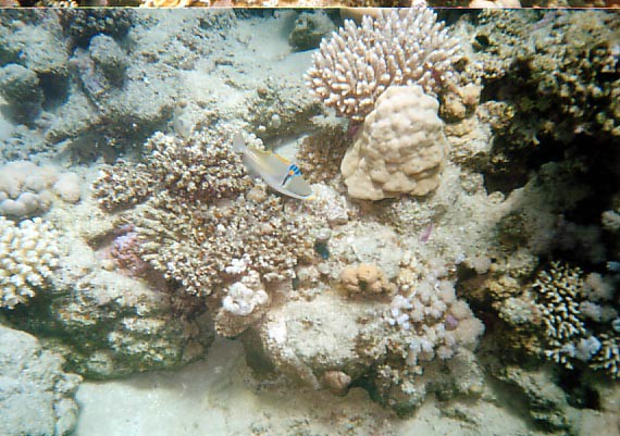 foto36.jpg