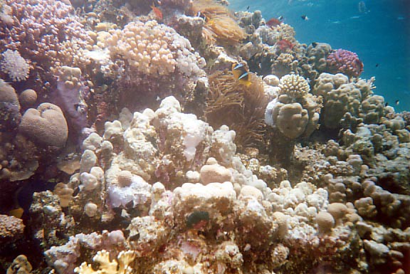 foto37.jpg