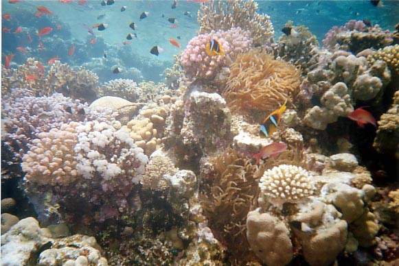 foto38.jpg