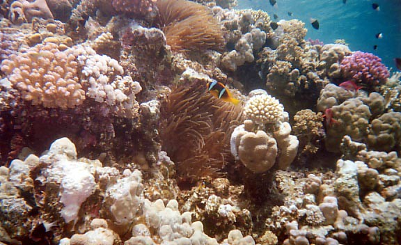 foto39.jpg