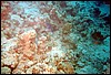 foto02.jpg
