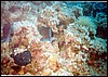 foto03.jpg