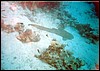 foto12.jpg