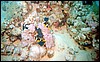 foto26.jpg