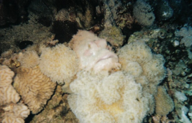 foto009.jpg