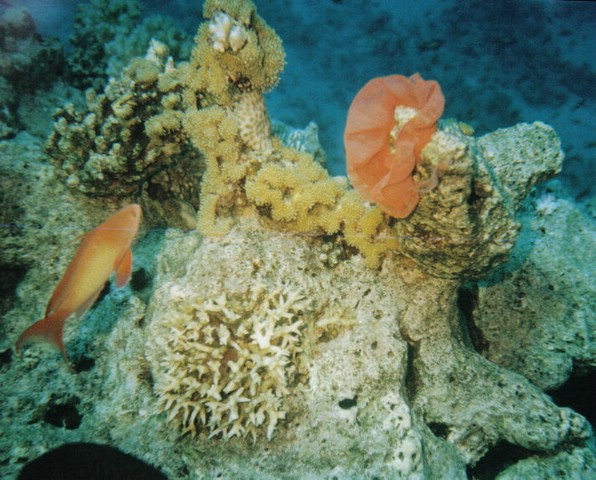 foto019.jpg