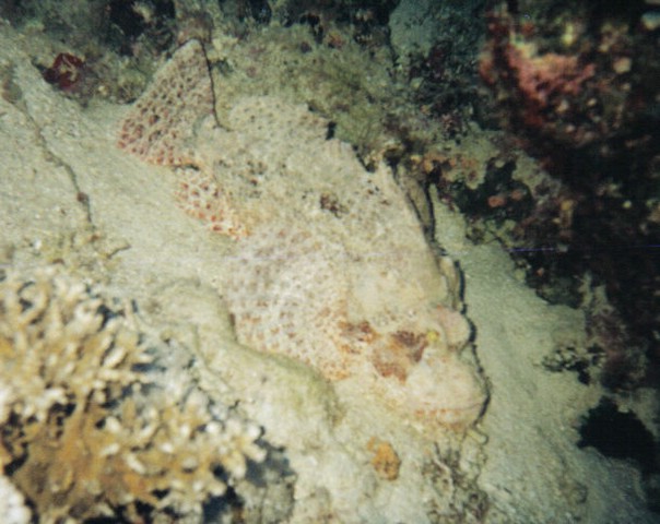 foto030.jpg