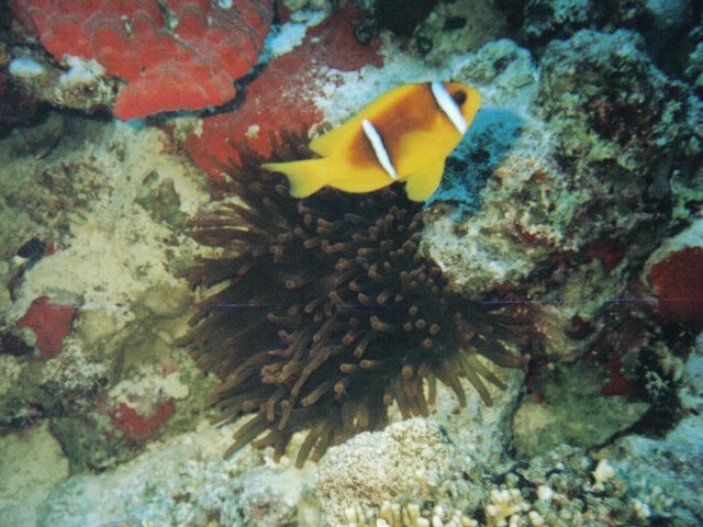 foto041.jpg